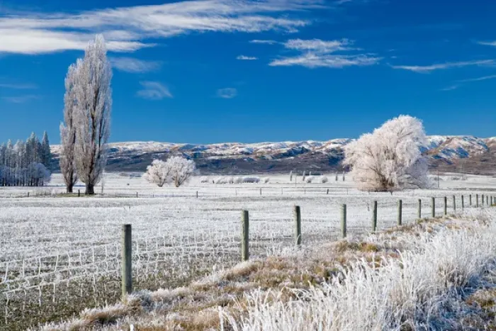 Framed Print : Hoar Frost and Farmland near Poolburn, Central Otago, South Island, New Zealand Framed Print : Hoar Frost and Farmland near Poolburn, Central Otago, South Island, New Zealand