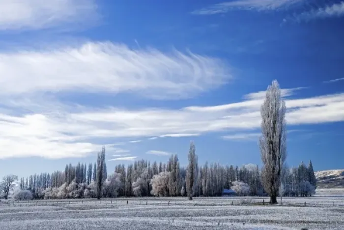 Framed Print : Hoar Frost and Farmland near Poolburn, Central Otago, South Island, New Zealand Framed Print : Hoar Frost and Farmland near Poolburn, Central Otago, South Island, New Zealand