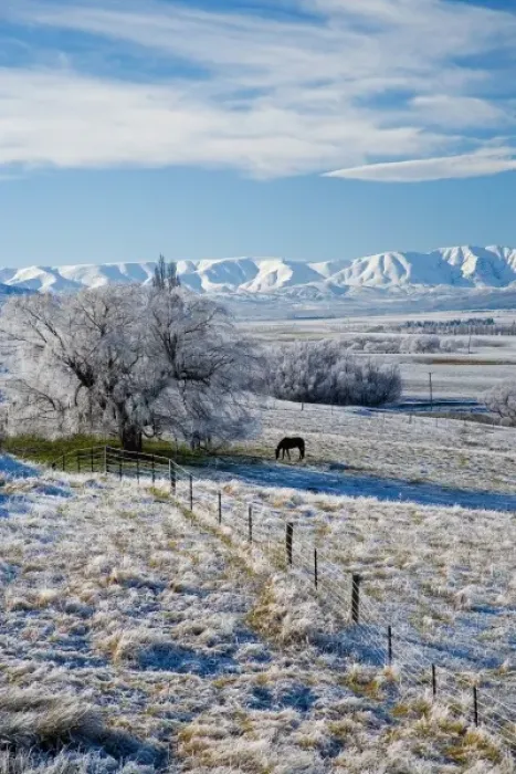 Framed Print : Hoar Frost and Farmland near Poolburn, Central Otago, South Island, New Zealand Framed Print : Hoar Frost and Farmland near Poolburn, Central Otago, South Island, New Zealand
