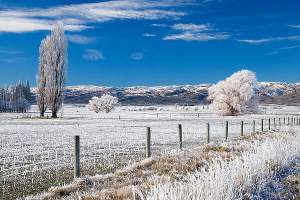 Hoar Frost and Farmland near Poolburn, Central Otago, South Island, New Zealand