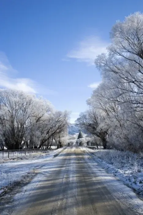Framed Print : Hoar Frost near Oturehua, Central Otago, South Island, New Zealand Framed Print : Hoar Frost near Oturehua, Central Otago, South Island, New Zealand
