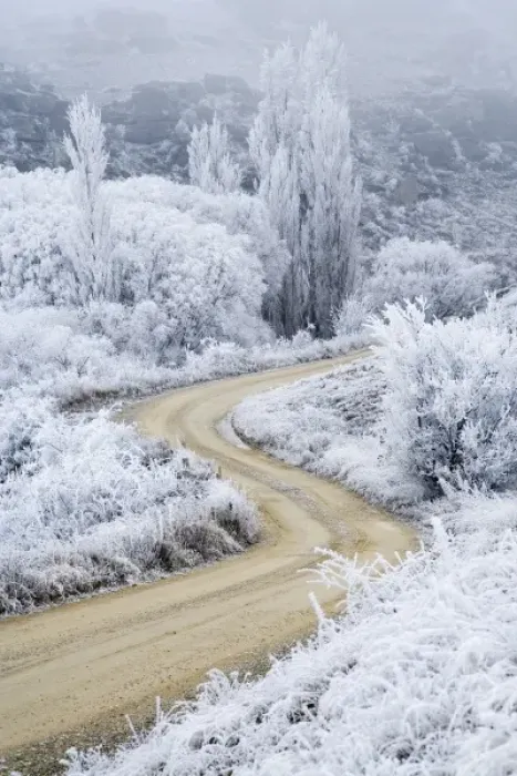 Framed Print : Hoar Frost and Road by Butchers Dam, near Alexandra, Central Otago, South Island Framed Print : Hoar Frost and Road by Butchers Dam, near Alexandra, Central Otago, South Island
