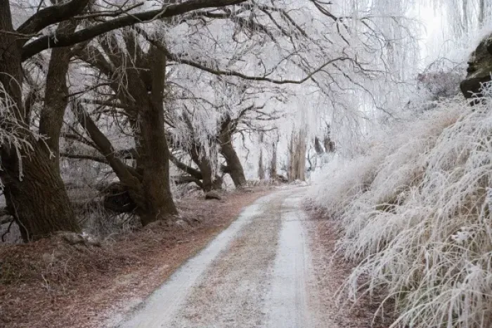 Framed Print : Hoar Frost and Road by Butchers Dam, near Alexandra, Central Otago, South Island