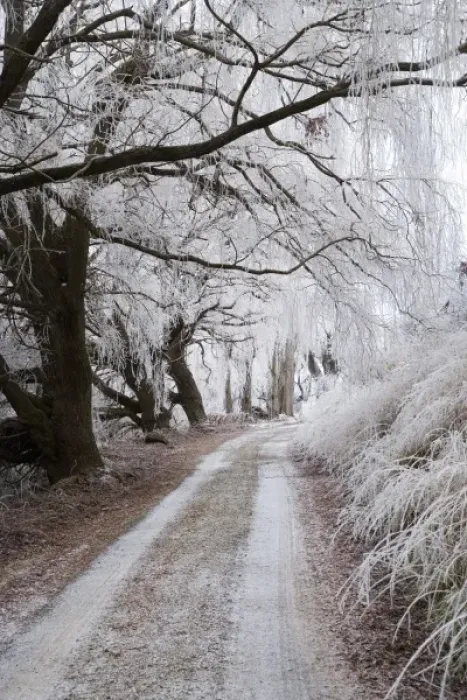 Framed Print : Hoar Frost and Road by Butchers Dam, near Alexandra, Central Otago, South Island
