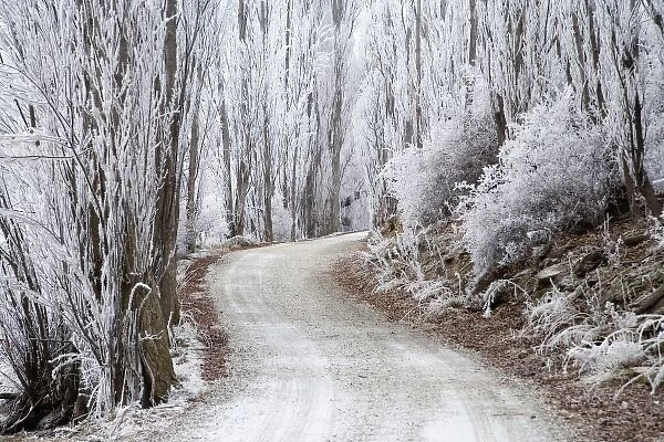 Hoar Frost and Road by Butchers Dam, near Alexandra, Central Otago, South Island