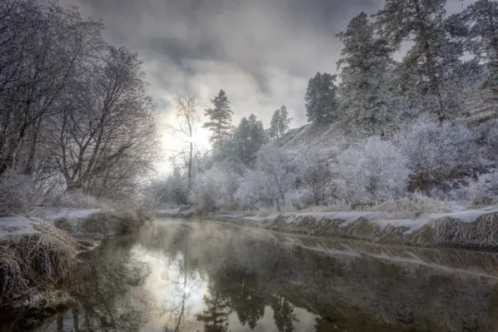 Framed Print : Hoarfrost along a slough at the Kelly Island FWP area along the Clark Fork River in Missoula Framed Print : Hoarfrost along a slough at the Kelly Island FWP area along the Clark Fork River in Missoula