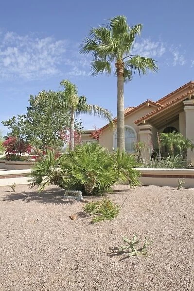 Home drought tolerant landscaping Phoenix, Arizona