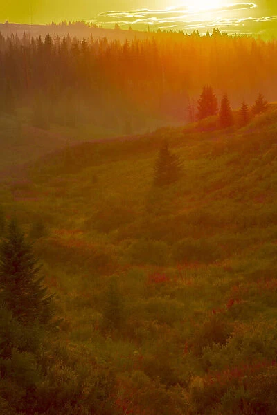 Homer, Alaska, scenic, sunset, golden, permafrost