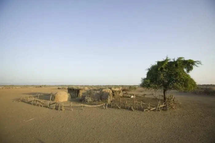 Framed Print : Homestead in village, Afar tribe, Awash Fontale, Ethiopia. (NGO Restrictions May Apply)