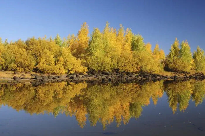 Framed Print : Honeymoon Lake Reflections, Steens Mountain, Frenchglen, Oregon, USA Framed Print : Honeymoon Lake Reflections, Steens Mountain, Frenchglen, Oregon, USA