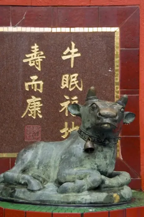 Framed Print : Hong Kong, Hong Kong Island. Goddess of Mercy temple at Repulse Bay. Bronze cow statue