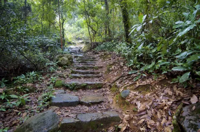 Framed Print : Hong Kong, Tai Po Kau Nature Park: a jungle trail with stone steps leads to a mountain