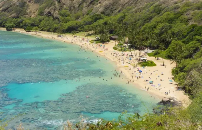 Framed Print : Honolulu Hawaii Oahu famous reef at Hanauma Bay coral from above snorkelers beach