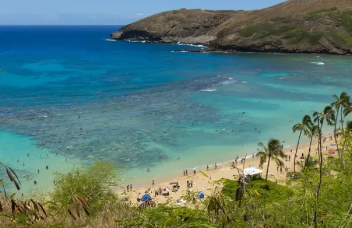 Framed Print : Honolulu Hawaii Oahu famous reef at Hanauma Bay coral from above snorkelers beach