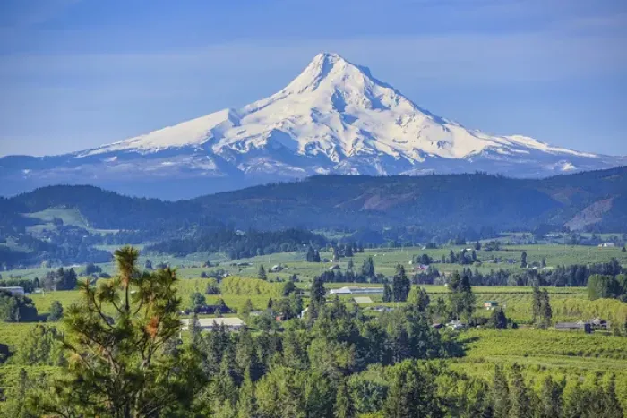 Framed Print : Hood River, Oregon. Snow capped Mount Hood dominates over the green valley, farms