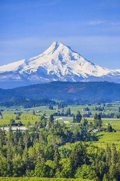 Hood River, Oregon. Snow covered Mount Hood, foothills, valley, farmland with orchards