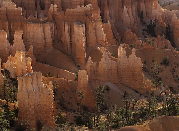 Hoodoos of Bryce Canyon sparkle in the dawn light