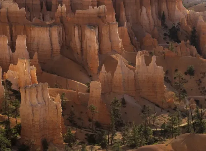 Framed Print : Hoodoos of Bryce Canyon sparkle in the dawn light Framed Print : Hoodoos of Bryce Canyon sparkle in the dawn light