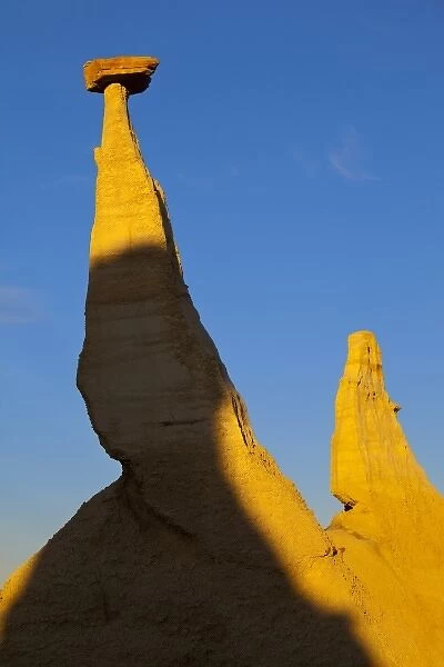 Hoodoos at first light in the Bisti Wilderness in San Juan County, New Mexico, USA