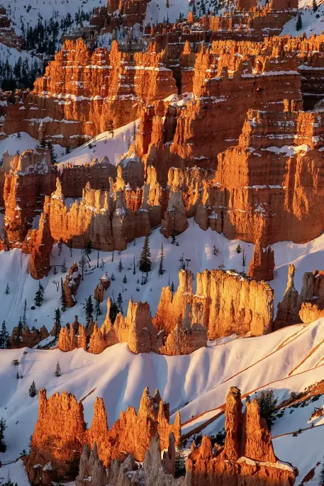 Framed Print : Hoodoos at first light at sunrise Point in Bryce Canyon National Park, Utah, USA. (Editorial Use Only) Framed Print : Hoodoos at first light at sunrise Point in Bryce Canyon National Park, Utah, USA. (Editorial Use Only)