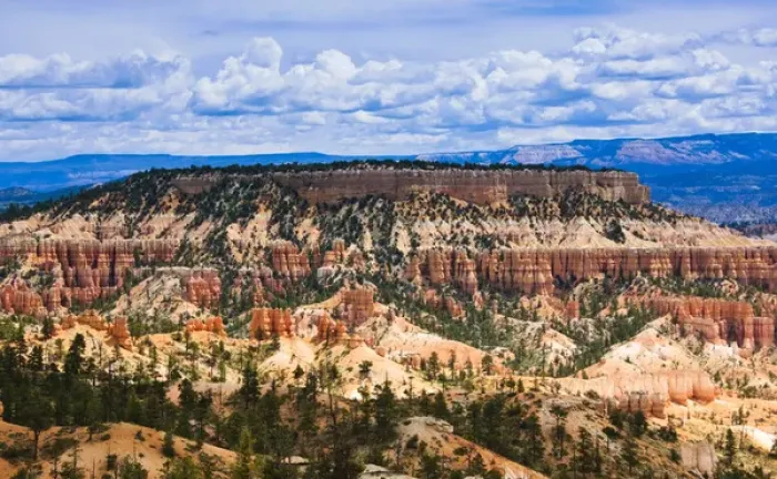 Framed Print : Hoodoos protect a distand mesa in Bryce Canyon - Bryce National Park, UT Framed Print : Hoodoos protect a distand mesa in Bryce Canyon - Bryce National Park, UT