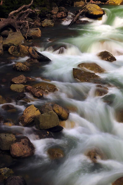 Hooksack River from the Bridge; Mount Baker-Snoqualmie National Forest; Washington; USA