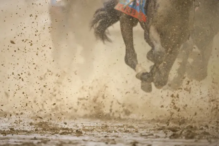 Framed Print : Horse racing in the mud Framed Print : Horse racing in the mud