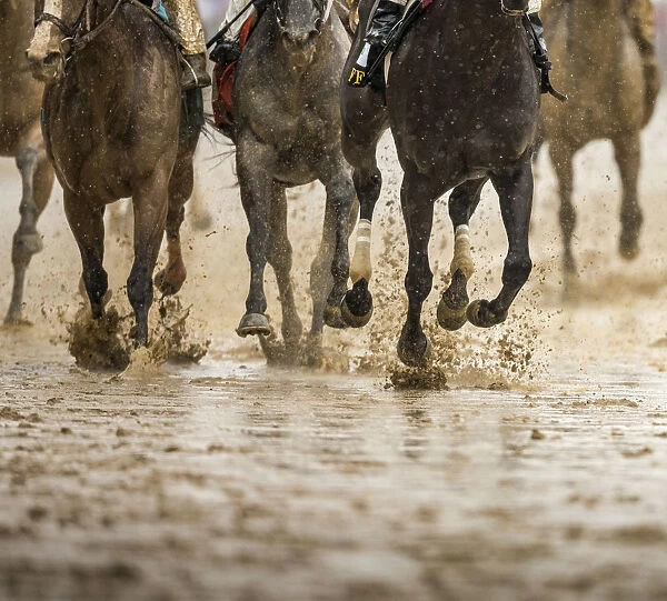 Horse racing on a muddy track