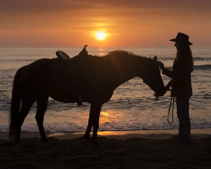 Framed Print : Horse and rider, sunrise, Vilano Beach, Florida, MR Framed Print : Horse and rider, sunrise, Vilano Beach, Florida, MR
