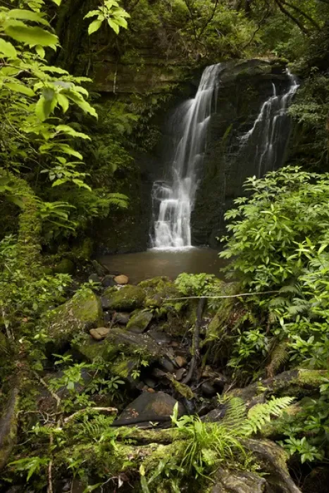 Framed Print : Horseshoe Falls, Matai Falls, Catlins, South Otago, South Island, New Zealand