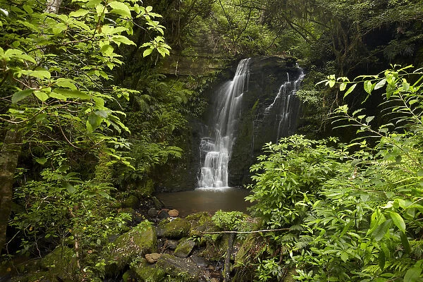 Horseshoe Falls, Matai Falls, Catlins, South Otago, South Island, New Zealand