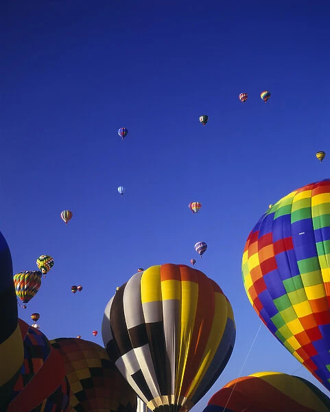 Hot Air Ballons aloft at the Albuquerque Ballon Festival, Albuquerque, New Mexico