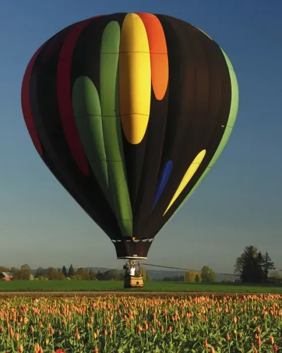 Framed Print : Hot Air Balloon, Tulip Festival, Woodburn, Oregon, USA Framed Print : Hot Air Balloon, Tulip Festival, Woodburn, Oregon, USA