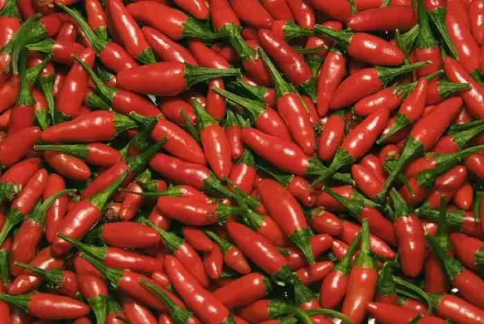 Framed Print : Hot chili peppers (Capsicum L)