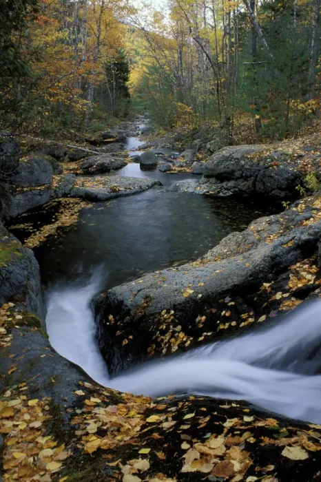 Framed Print : Howe Brook, Baxter State Park, ME. A stream in fall