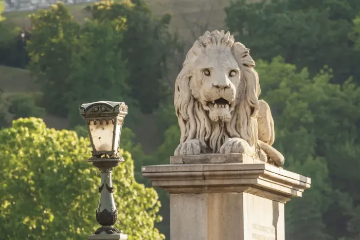 Framed Print : Hungary, Budapest. Lion sculpture on the Szechenyi Chain Bridge