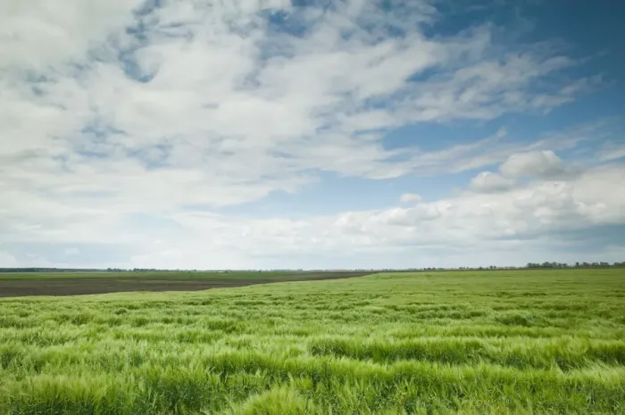 Framed Print : HUNGARY-Great Plain- HORTBAGY: Hungarys Cowboy Country Farm Fields / Spring Framed Print : HUNGARY-Great Plain- HORTBAGY: Hungarys Cowboy Country Farm Fields / Spring