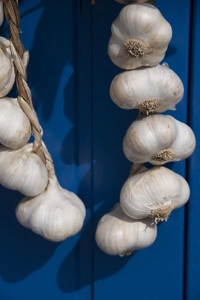 Hungary, Kalocsa. Fresh garlic bulbs hanging on blue door