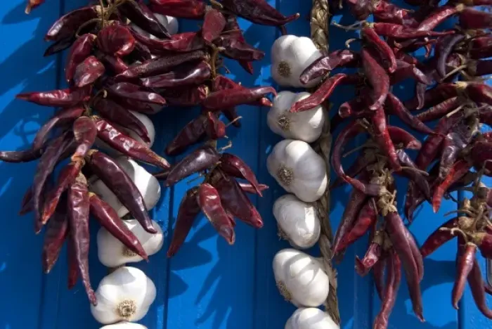 Framed Print : Hungary, Kalocsa. Fresh garlic and local sweet paprika hanging on blue door Framed Print : Hungary, Kalocsa. Fresh garlic and local sweet paprika hanging on blue door