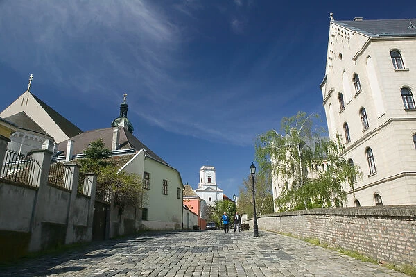 HUNGARY-WESTERN TRANSDANUBIA-Gyor: Kaptalan Domb Hill & Bishops Castle