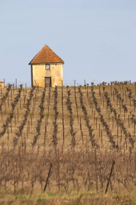 Framed Print : A hut called such as is called Gabinele. Domaine Mas Gabinele. Faugeres. Languedoc