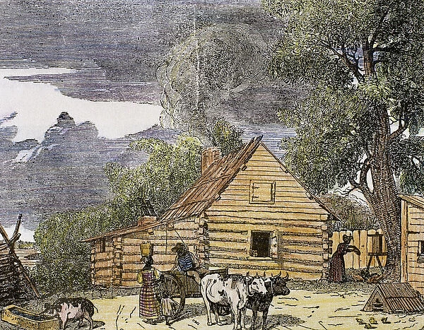 Hut. Virginia, 1848. United States. Engraving