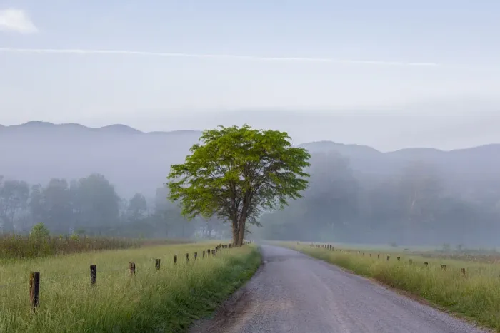 Framed Print : Hyatt Lane in fog Cades Cove Great Smoky Mountains National Park, Tennessee