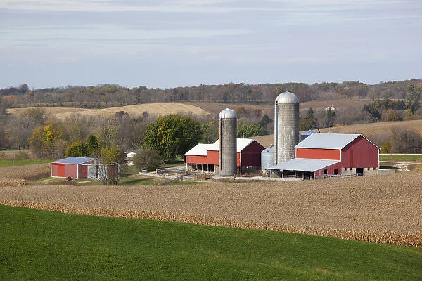 IA, Jackson County, Barns and cornfield