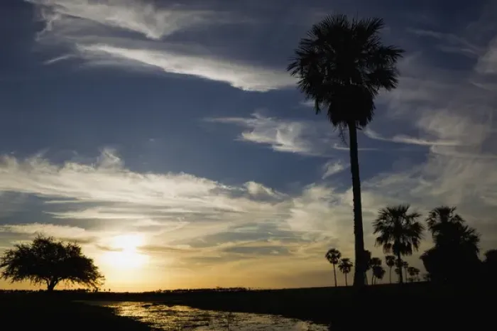 Framed Print : Ibera Marshes; Sunset Framed Print : Ibera Marshes; Sunset