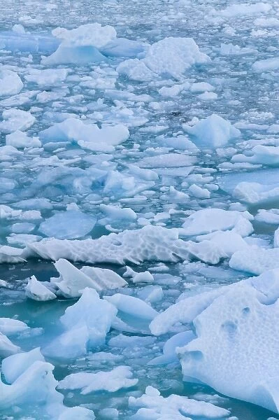 Ice blocks floating on the water, Glacier Moreno, near El Calafate, Patagonia, Argentina