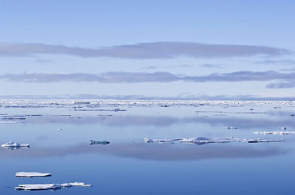 Ice floes Greenland Sea East Coast of Greenland