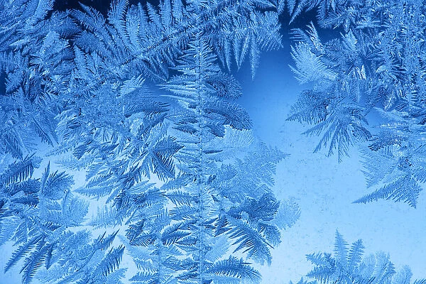 Ice frost crystals on a window pane