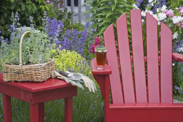 Framed Print : Ice tea rests on red chair while gardening Framed Print : Ice tea rests on red chair while gardening
