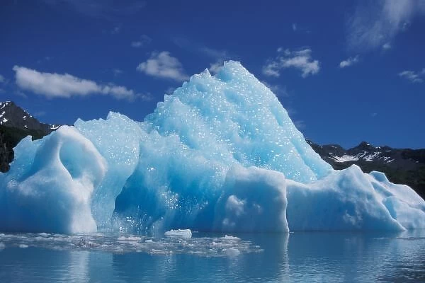 iceberg that cracked off from Bear Glacier, Kenai Fjords National Park, Alaska